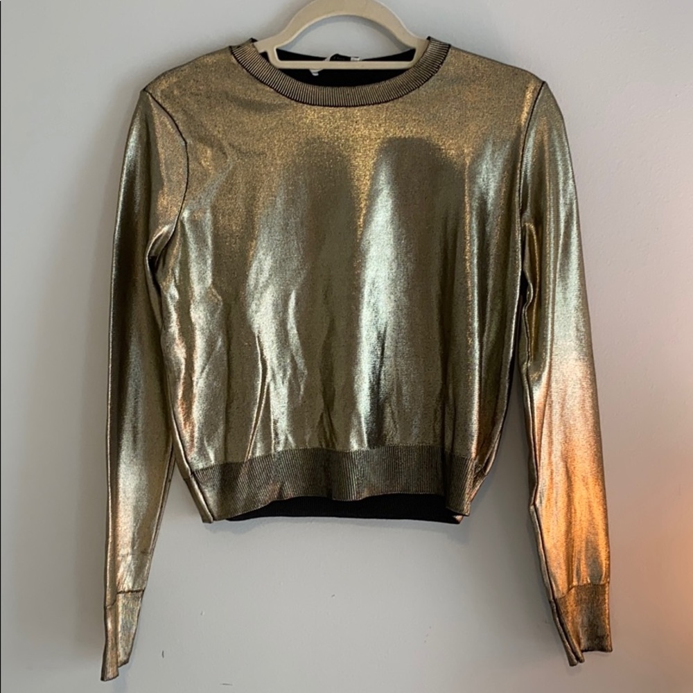 Zara metallic crop top